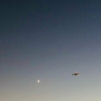 だいたひかる『夫の失言…』