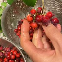 「美味しそう」「楽しんでますね」工藤静香、ジャムを手作りするオフ動画に称賛の声