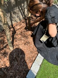 杉浦太陽『庭で発見w』