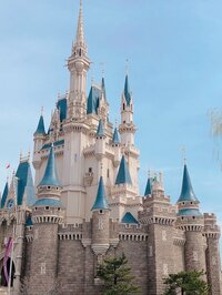 瀬戸朝香『これで元気に!』