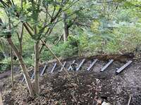 假屋崎省吾『初公開　鎌倉の庭づくり‼️』