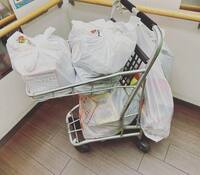 丸山桂里奈『ゆとりもちます』