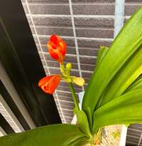 桑野信義&MASA『『 希望を胸に夢に向かって歩もう!』』