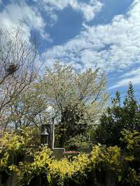 假屋崎省吾『DIYで超オシャレに生まれ変わりましたよ〜っ‼️』