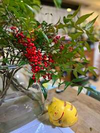 キャシー中島『明日のすてきにハンドメイドを観てね』