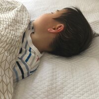 hitomi『慣れてきた家時間』