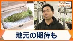 “食料問題救う”新ワサビ栽培　常識覆す…完全室内・流水使わず　北海道小樽市