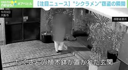 “花泥棒”カメラが捉えた窃盗の瞬間「社員が大切に育てていた…」常習犯か
