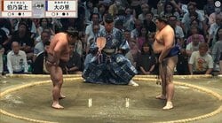 「横綱が手をついてるのに…」「合わせてよ」伯乃富士、立ち合いの“間”に困惑の声 大の里は“完全復調”の兆し 好調・伯乃富士を圧倒「これが大の里だ！」ファン興奮