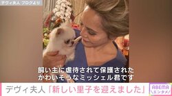 デヴィ夫人、虐待されて保護されたチワワを“新しい家族”に「過去の影響で人に怯えるようになってしまったそう」