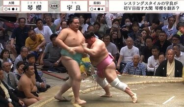 大相撲宇良関　グッズ5点 大相撲宇良関 グッズ5点 Yahoo!オークション - 大相撲 宇良関