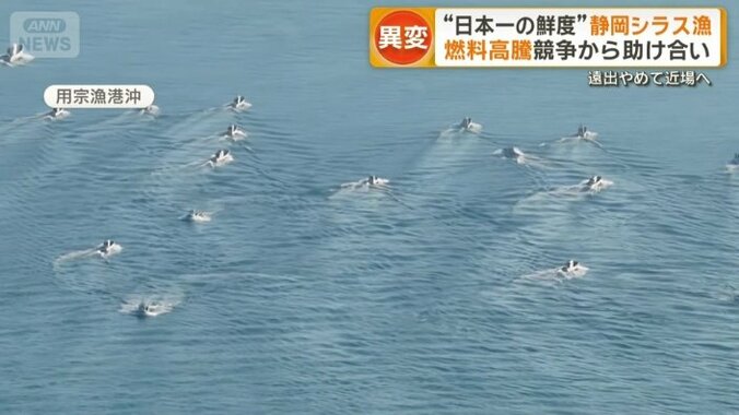 水揚げから最短15分でセリに