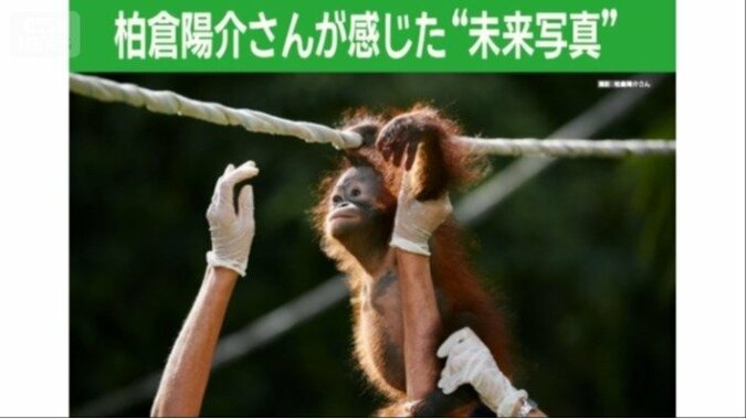 未来を感じた写真