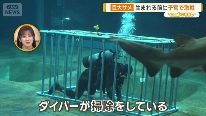 事故防止のため おりの中で作業