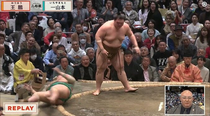 一山本の負け越しにお口あんぐりのレジーヌさん