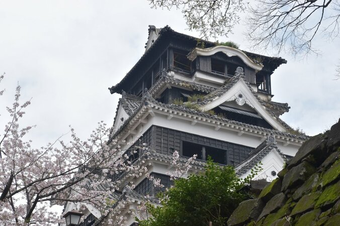 総工費600億円以上、工期20年…　地震から１年、前代未聞の大修復が始まる熊本城を取材 12枚目