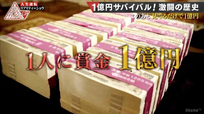 身寄りのない犬猫60匹に救いの手を　シェルターを運営する男がどうしても1億円欲しい理由 1枚目