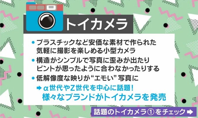 トイカメラとは