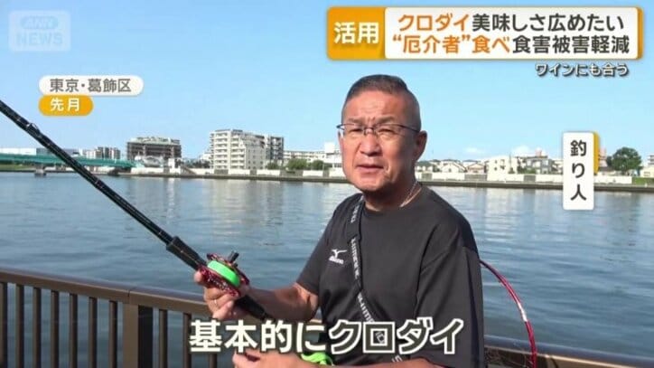 近年では河川でもクロダイが見られるように
