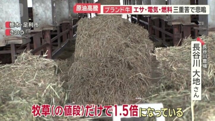 「牧草（の値段）だけで1.5倍」