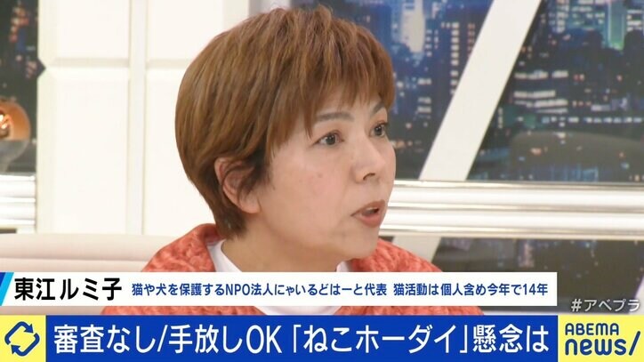 “月額380円で審査なし” 賛否の声があがる「ねこホーダイ」にNPO代表「所有権が不明確。死んでしまったら誰が責任を取るのか」