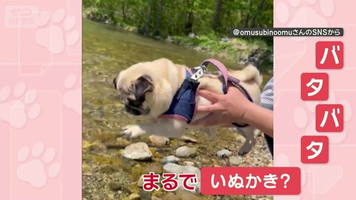まだ川につかってないのに…バタバタ！