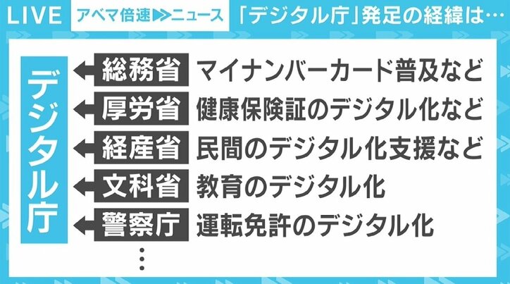 「カオスな状態からスタート」のデジタル庁 “デジタル監”石倉洋子氏に期待される役割は