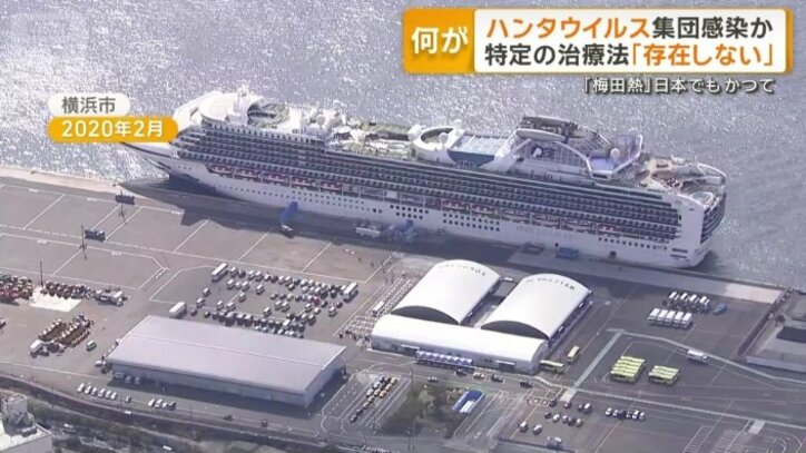 「ダイヤモンド・プリンセス」号
