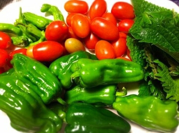 藤原紀香、尊敬する母のエピソード語る「人として私など到底かなわない」