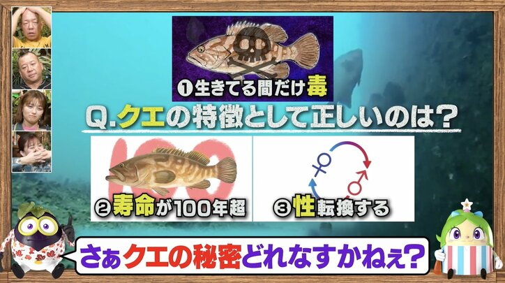 【写真・画像】【ナスD】コピーして使ってください　2枚目