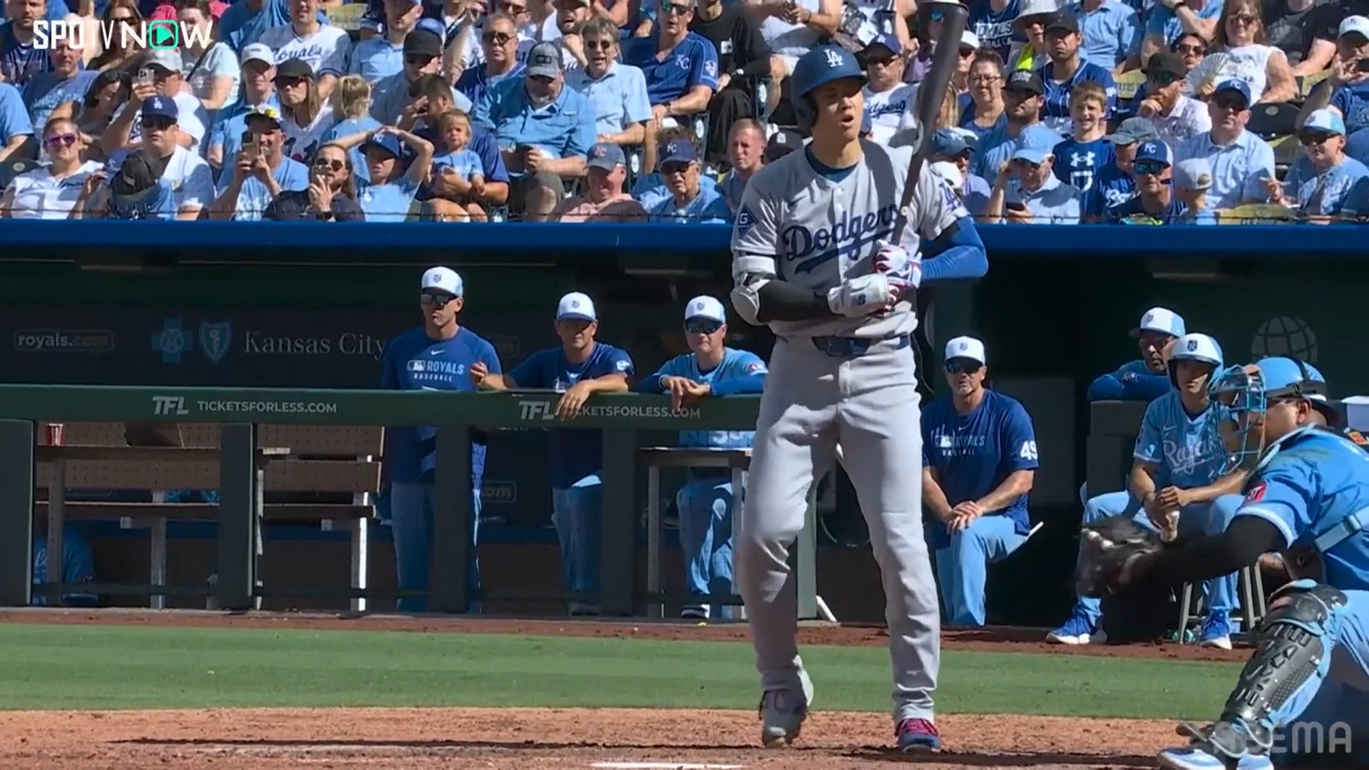 【写真・画像】　2枚目