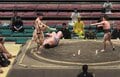 中日最初の取組で“92キロ差”衝撃決着 巨漢がすっ飛んでいく驚きの光景「いきなりスゴイ」「最初から見れたの初めてかも」