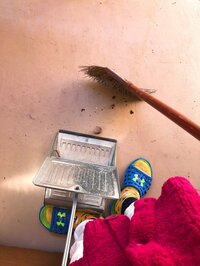 堀ちえみ『「自然体」が人生のキーワード』