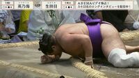 【映像】力士が突っ伏して無念…実際の様子
