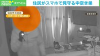 【映像】住民がスマホで見守る中“空き巣”…ライトを片手に室内を物色する男