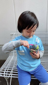 アレクサンダー『今日からソロバン始めたよ』