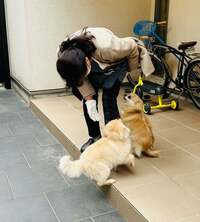 ココリコ遠藤嫁『後悔』