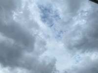 大堀恵『愛犬の旅立ち』