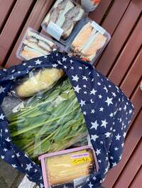 生田智子『道の駅』