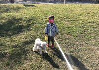 保田圭『なんでも自分でやりたい時期』