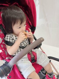 アレクサンダー『犬を見にいこう❤️』