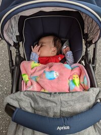 たんぽぽ白鳥久美子『誕生日とワンオペチェリー』