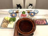 藤あや子『今年初のマルオレ食堂』