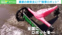 【映像】ゆっくり動くが生産性は5倍! 除草ロボットの勇姿