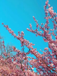 吉木りさ『初節句…✨』