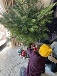 市川海老蔵『できたー』