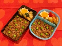 中澤裕子『今日からお弁当再開。』