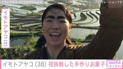 イモトアヤコ、自宅でのアップルパイ作りを公開 「ちゃんとリンゴの味がするよね。うまー！」と絶賛