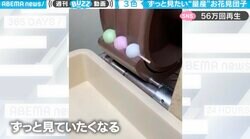 意外と知らないお花見団子の量産風景 「ジャンプしながら無限に出てくる」団子製造機は40年超の超ベテラン