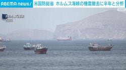 米国防総省 ホルムズ海峡の機雷撤去に半年と分析